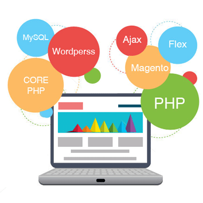 Website Design & Development